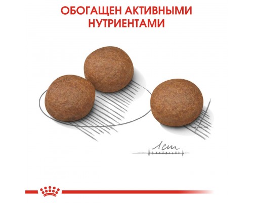 Корм Royal Canin для собак крупных пород с чувствительным пищеварением 10 кг