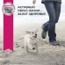 Корм Eukanuba для щенков крупных пород, с птицей