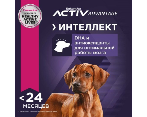 Корм Eukanuba для щенков крупных пород, с птицей