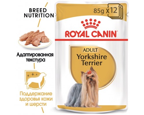 Royal Canin паучи для йоркширского терьера (паштет) 85 г