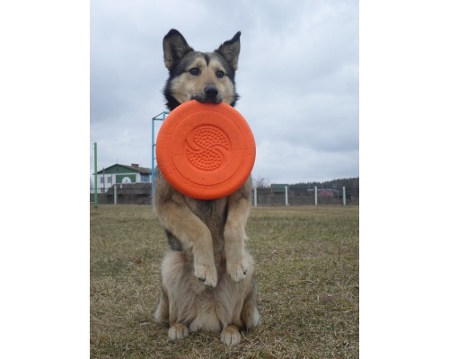 Doglike летающая тарелка, оранжевая M